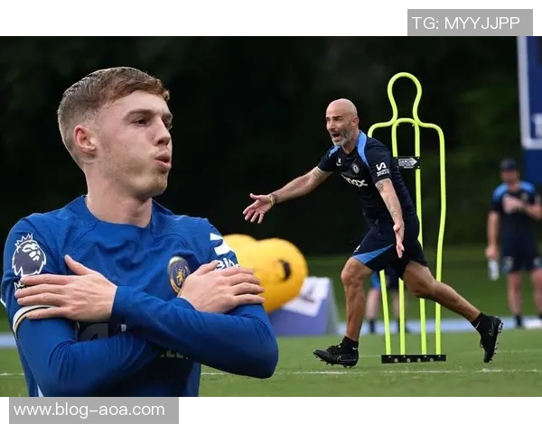 切尔西对马雷斯卡未来进行全面评估引发转会市场猜测 切尔西对马雷斯卡未来进行全面评估引发转会市场猜测